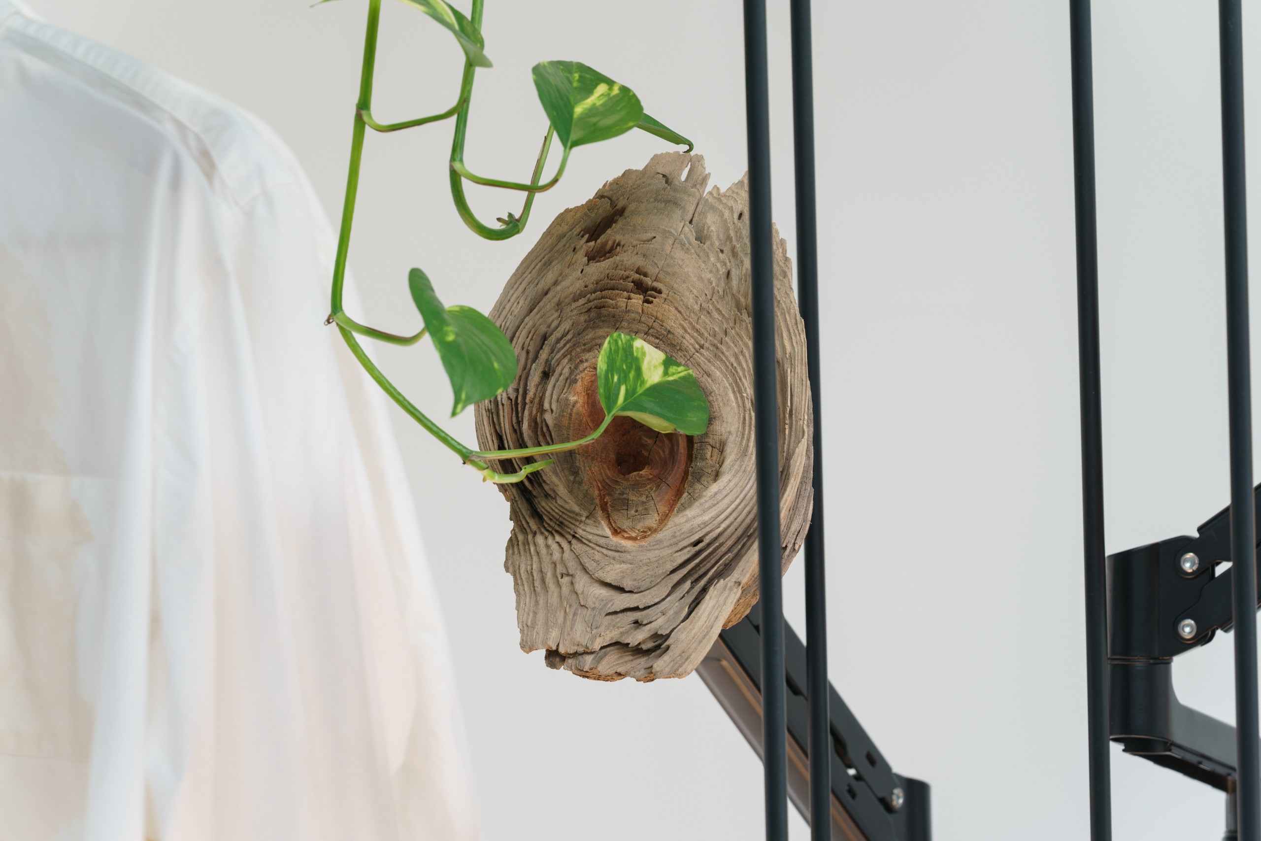 雨宮庸介個展「雨宮宮雨と以」会場風景 "植物を聴く彫刻 (2023)" 