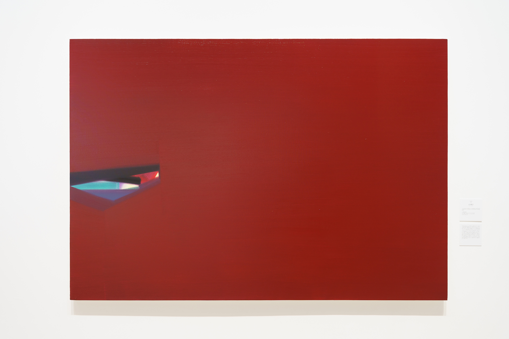 (10) 第1回BUG Art Award ファイナリスト展: 山田康平さんによる展示 1