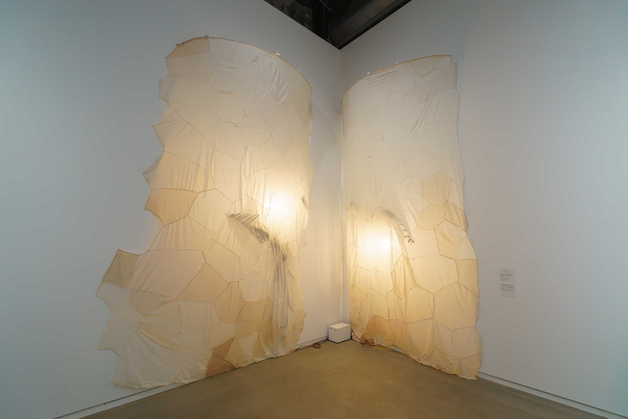 (40) 第1回BUG Art Award ファイナリスト展: 宮内由梨さんによる展示 1《プシュケーの帰還》
