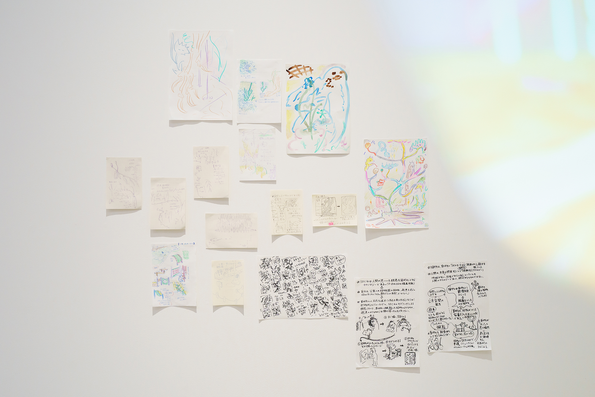 (63) 第1回BUG Art Award ファイナリスト展: 近藤拓丸さんによる展示 2