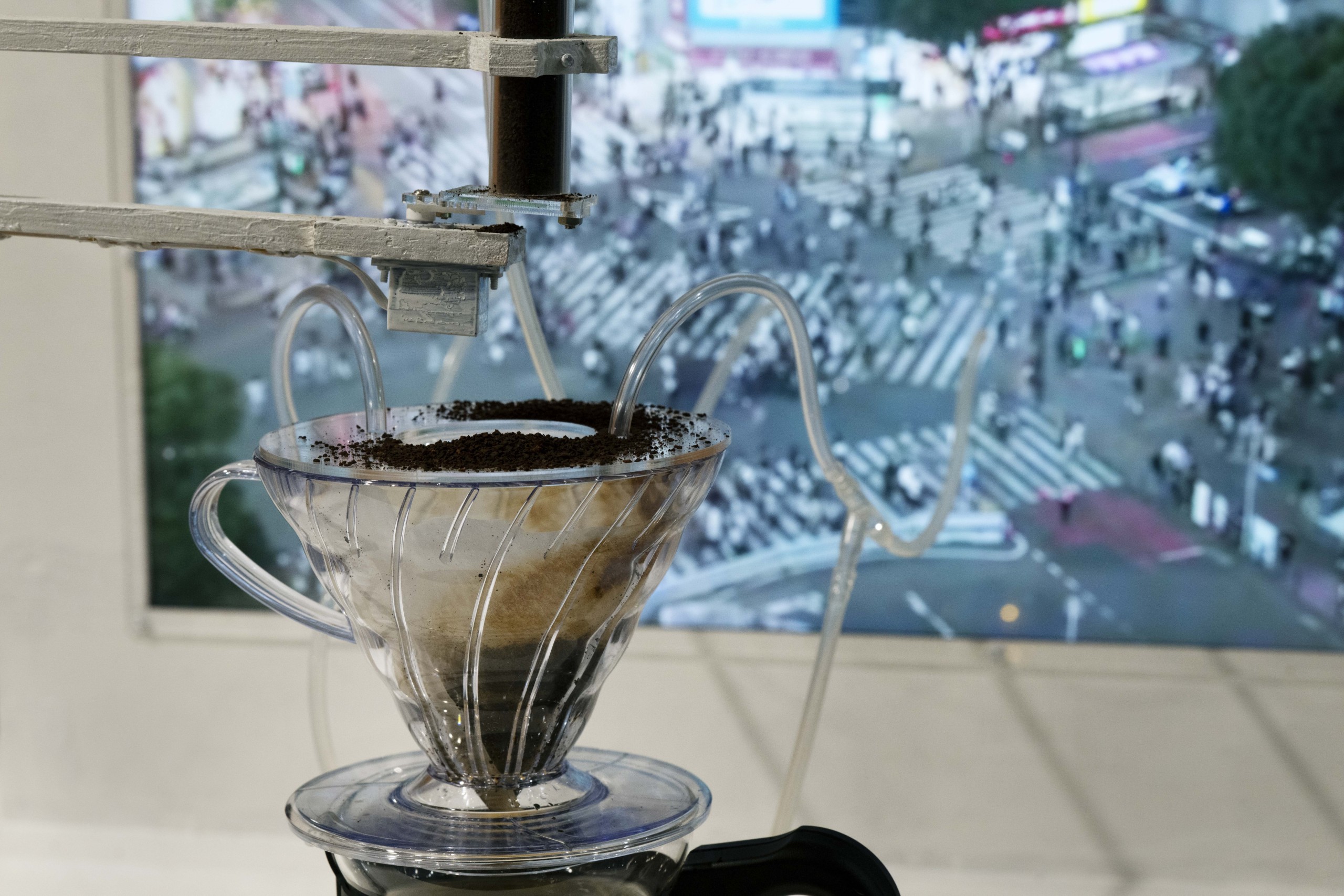 (1057) 小林颯個展「ポリパロール」: "Condensed Coffee" 3