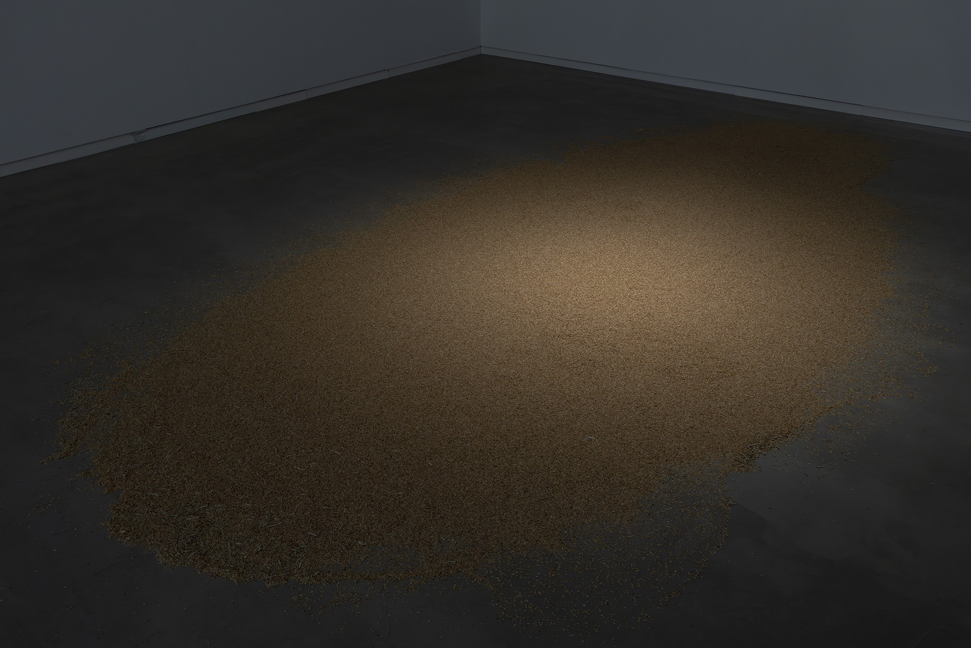 (7) 陸路（スピルオーバー#1）: "サルベージ・クラブ" 6