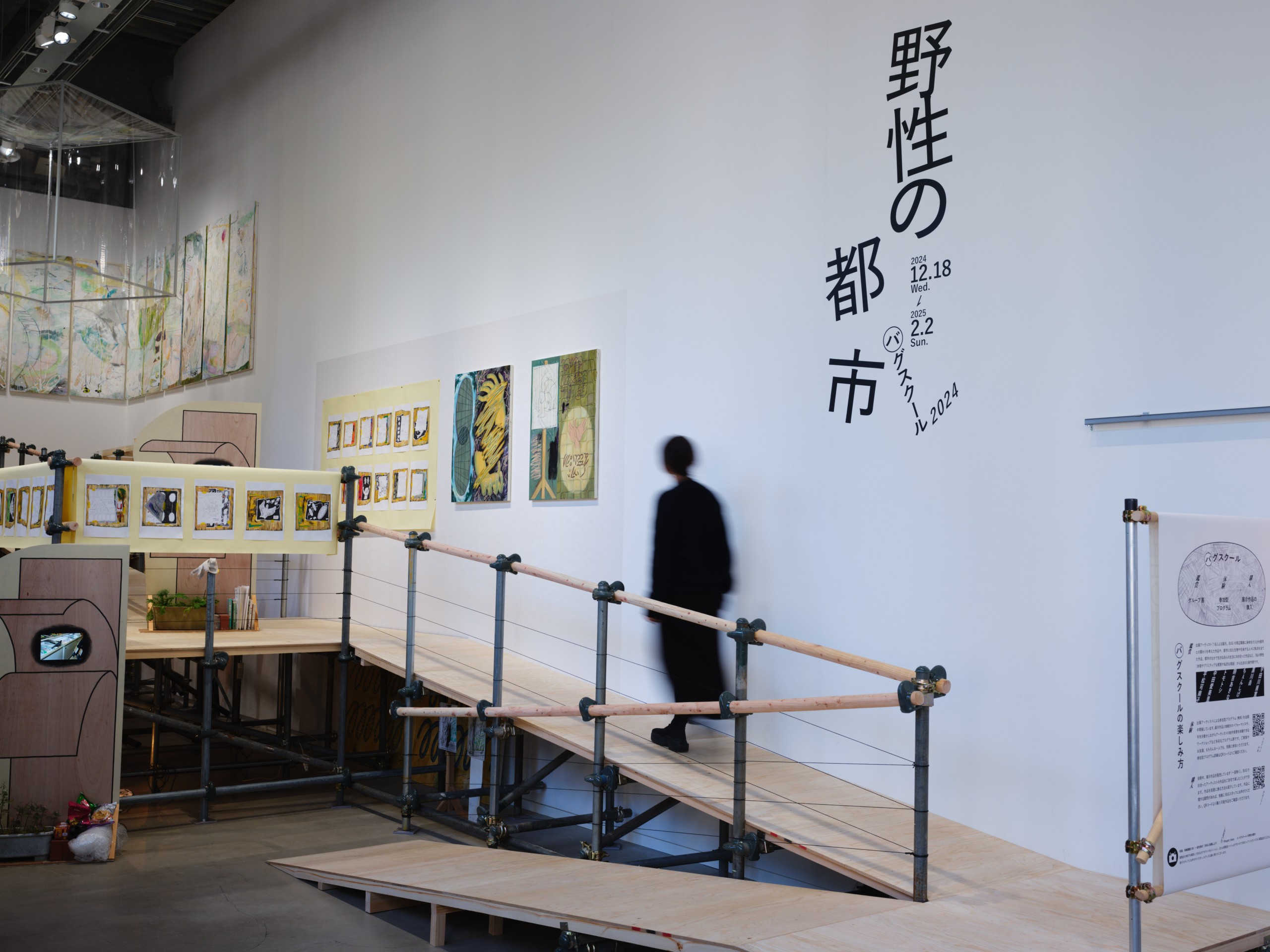 バグスクール2024　野性の都市　展示風景