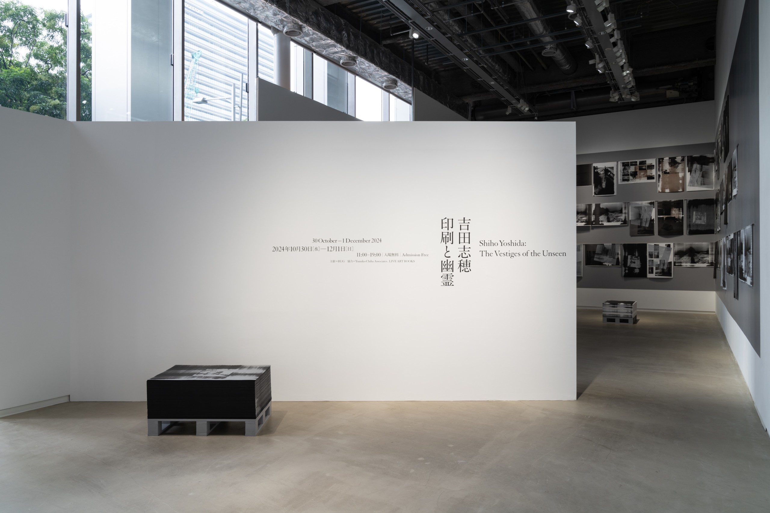吉田志穂個展「印刷と幽霊」展示風景