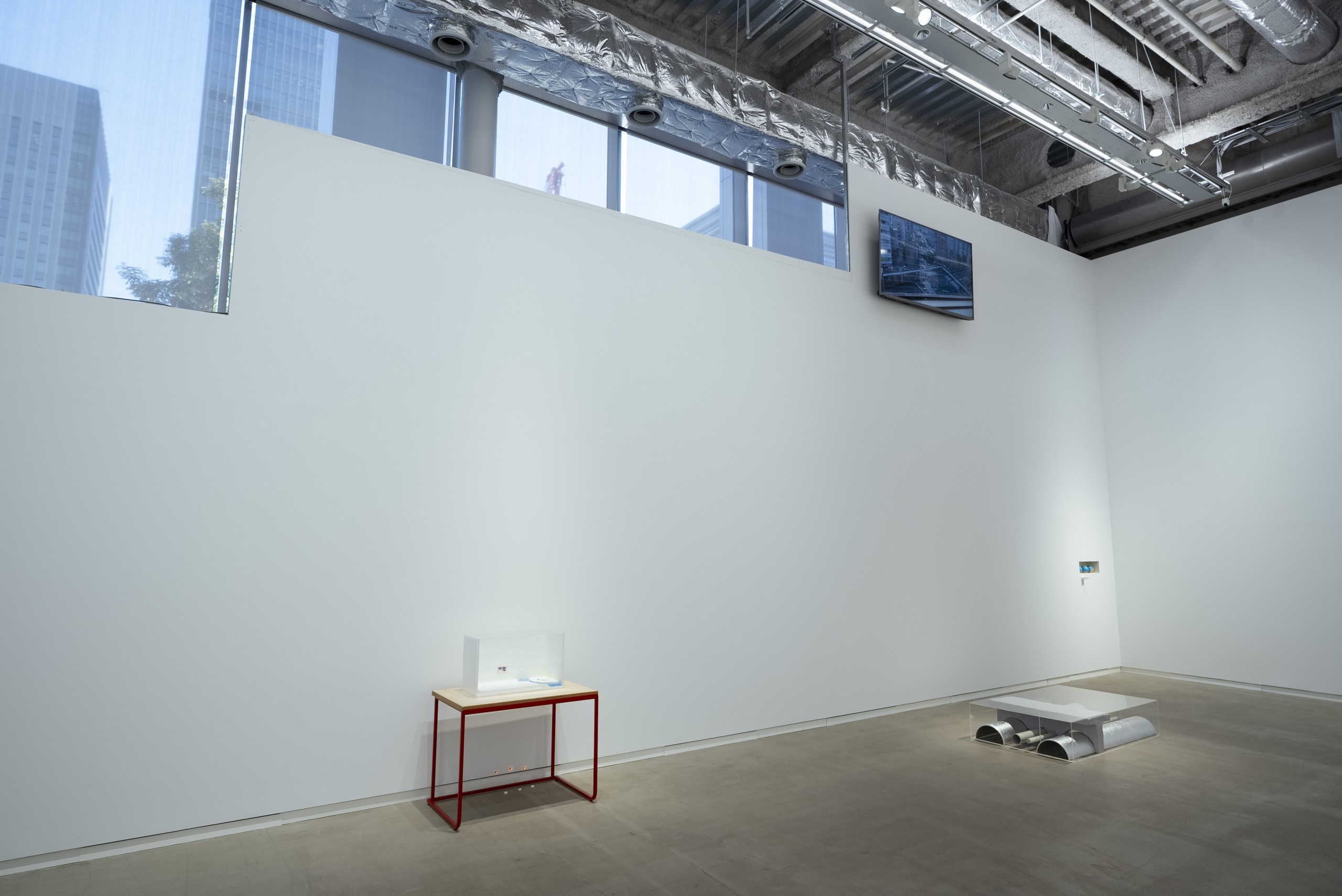 向井ひかり「ザ・ネイムズ・オン・ザ・ビーチ」展示風景