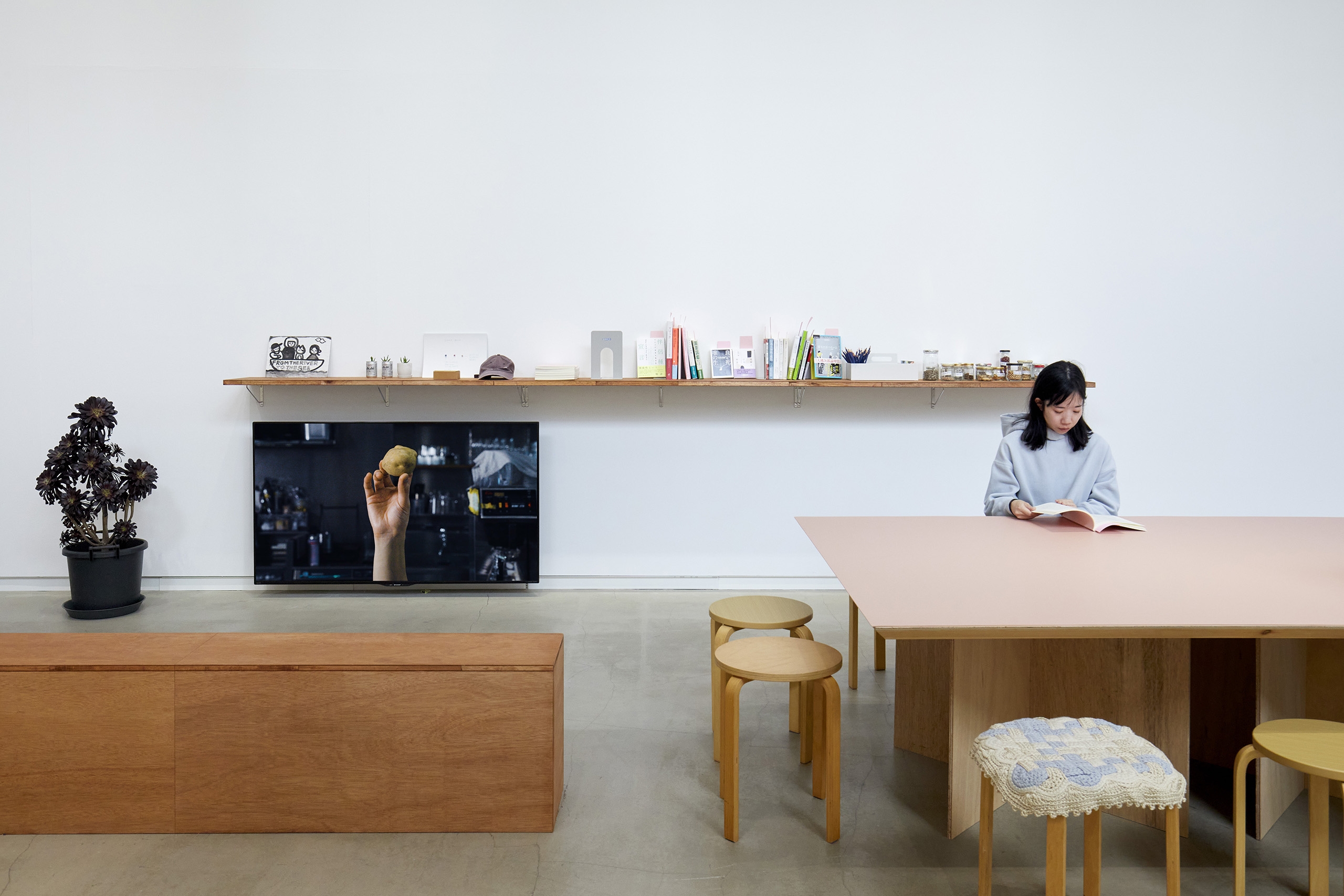 同伴分動態　展示風景