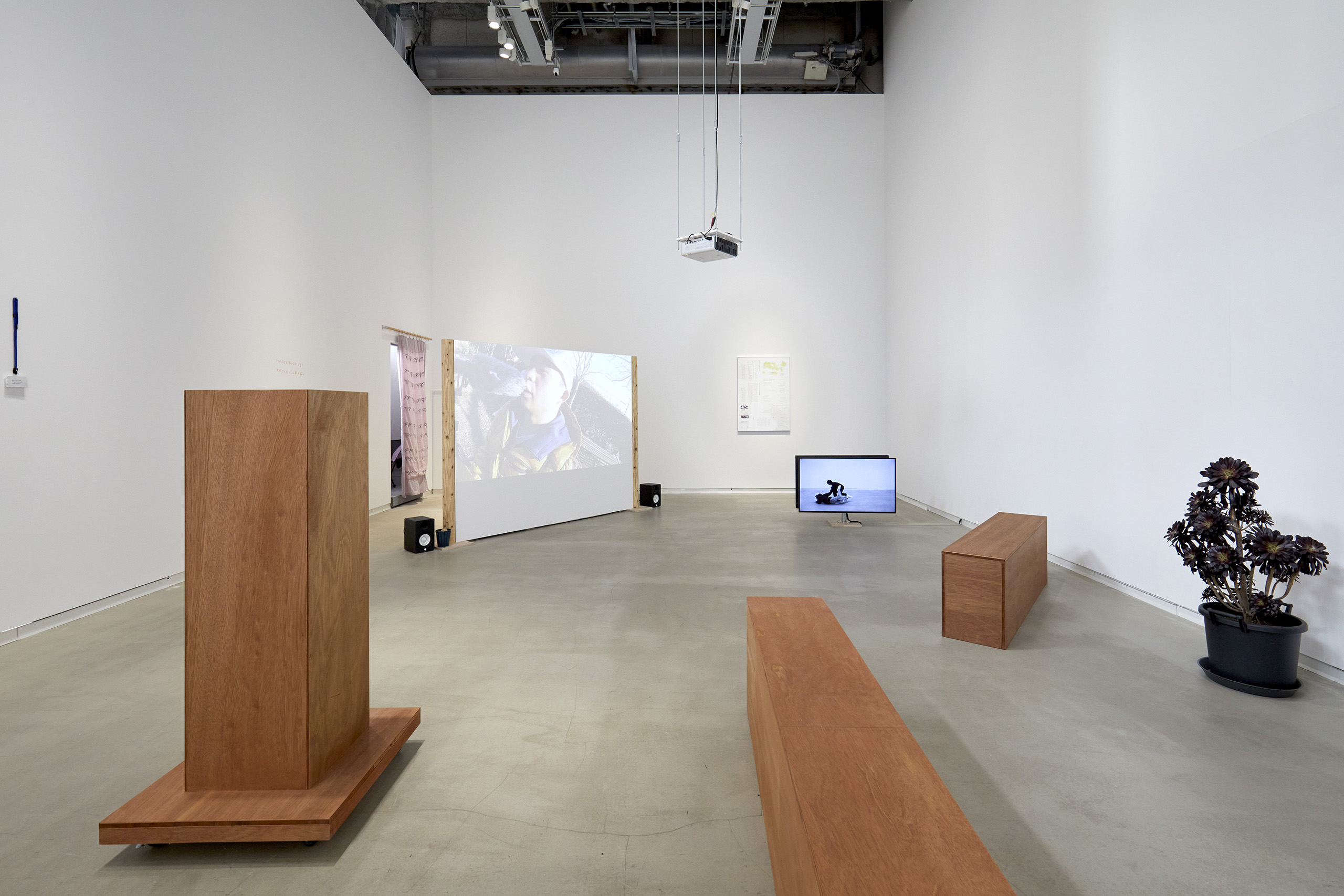 同伴分動態　展示風景
