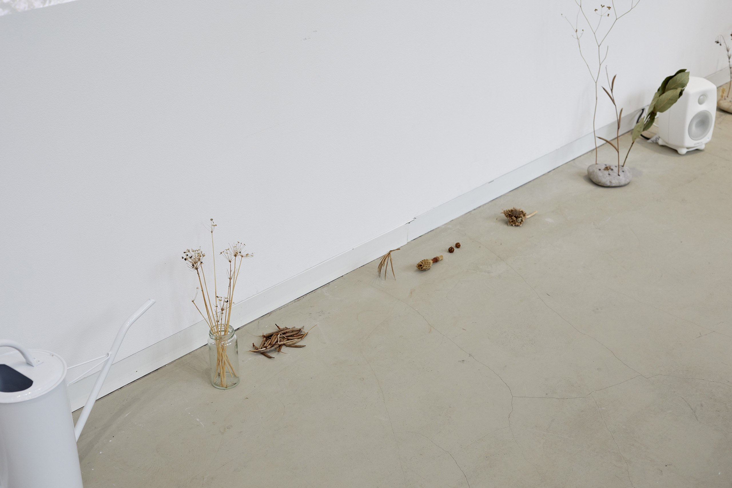 同伴分動態　展示風景